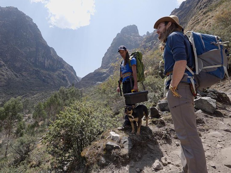 Two hikers with backpacks and a small dog stand on a rocky trail in a steep green valley